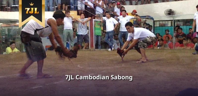 7JL Cambodian Sabong