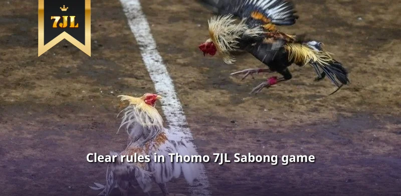 Clear rules in Thomo 7JL Sabong game