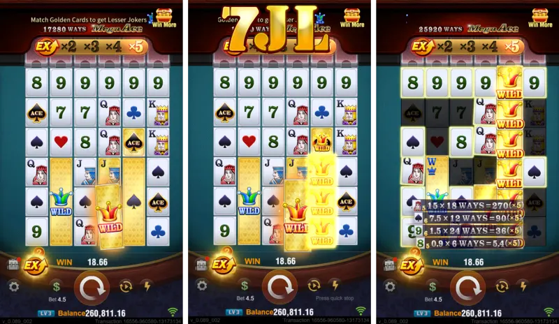 Gameplay and Special Features